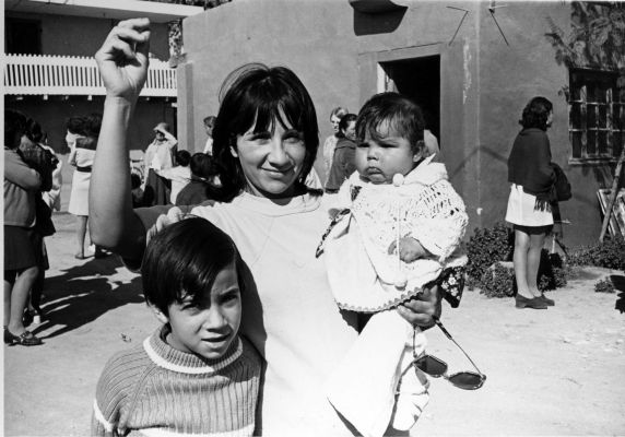 (3220) The family of a D’Arrigo striker (3220) The family of a D’Arrigo striker